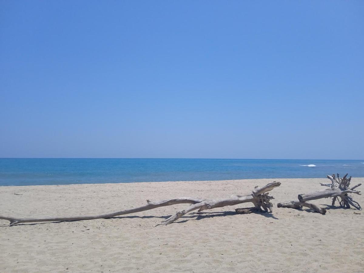 Bob Marley Beach Guachaca Eksteriør bilde