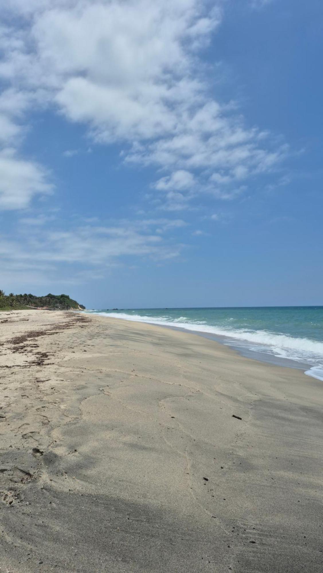 Bob Marley Beach Guachaca Eksteriør bilde