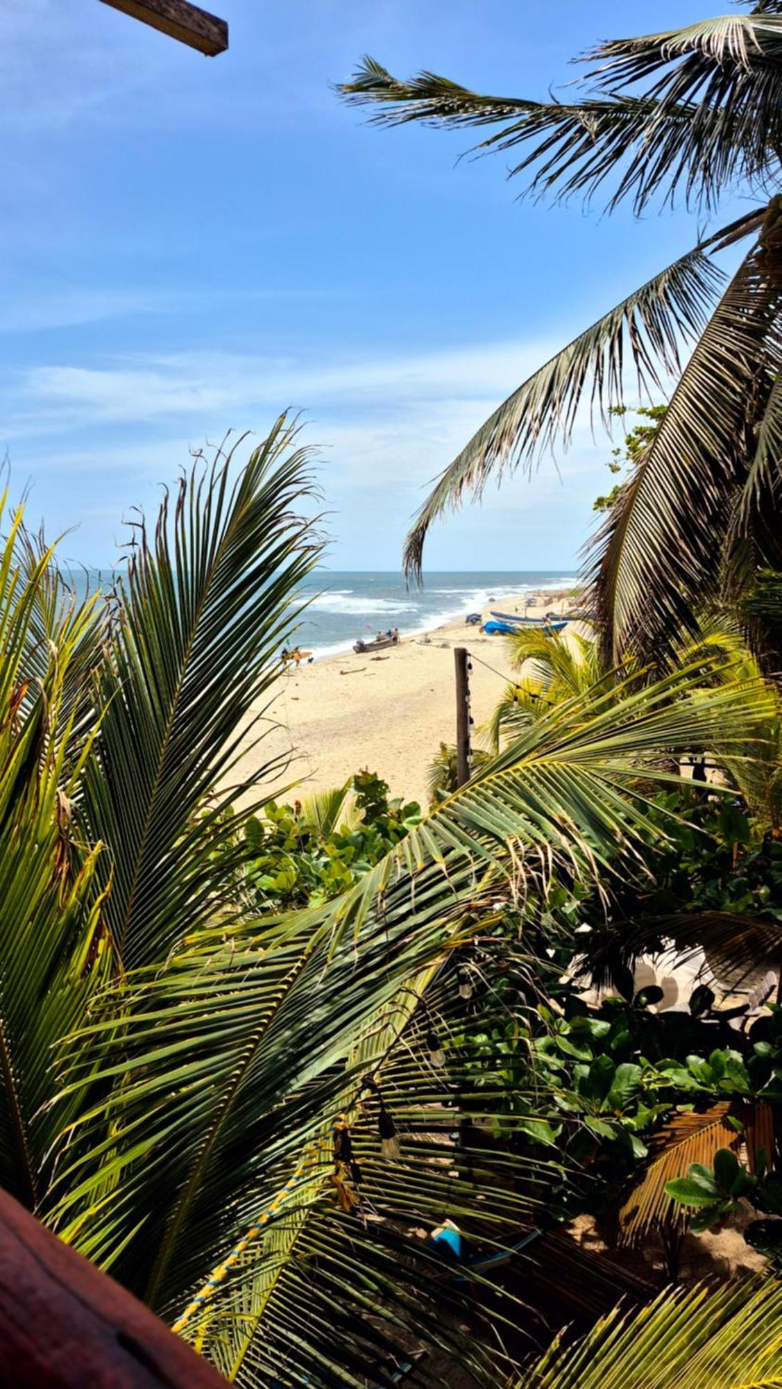Bob Marley Beach Guachaca Eksteriør bilde